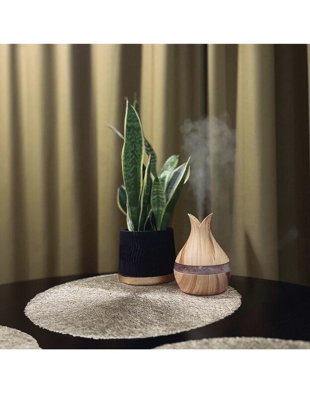 Увлажнитель воздуха "Лукне" 1